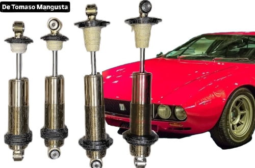 tt3216mangustatomaso_min